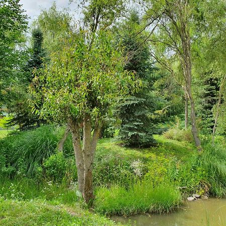 Kamilla Kulcsoshaz Villa Sub Cetate Dış mekan fotoğraf
