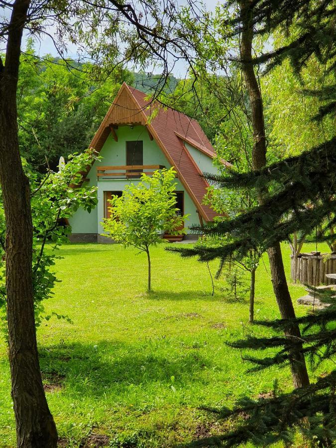 Kamilla Kulcsoshaz Villa Sub Cetate Dış mekan fotoğraf