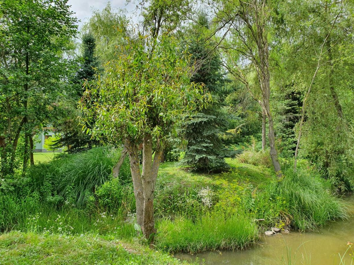 Kamilla Kulcsoshaz Villa Sub Cetate Dış mekan fotoğraf
