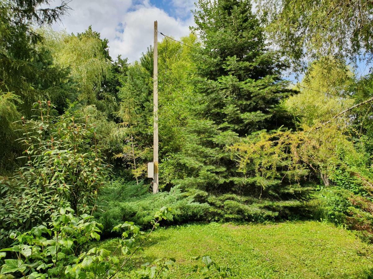 Kamilla Kulcsoshaz Villa Sub Cetate Dış mekan fotoğraf